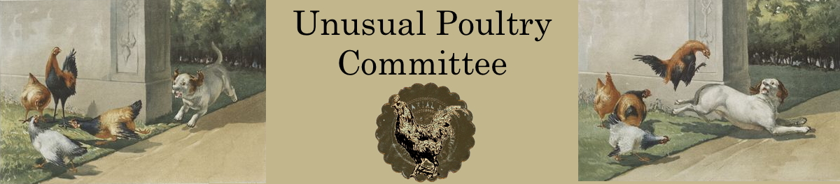 Unusual Poultry Committee banner
