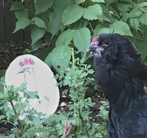 Raven the chicken with Henrietta photo paddle