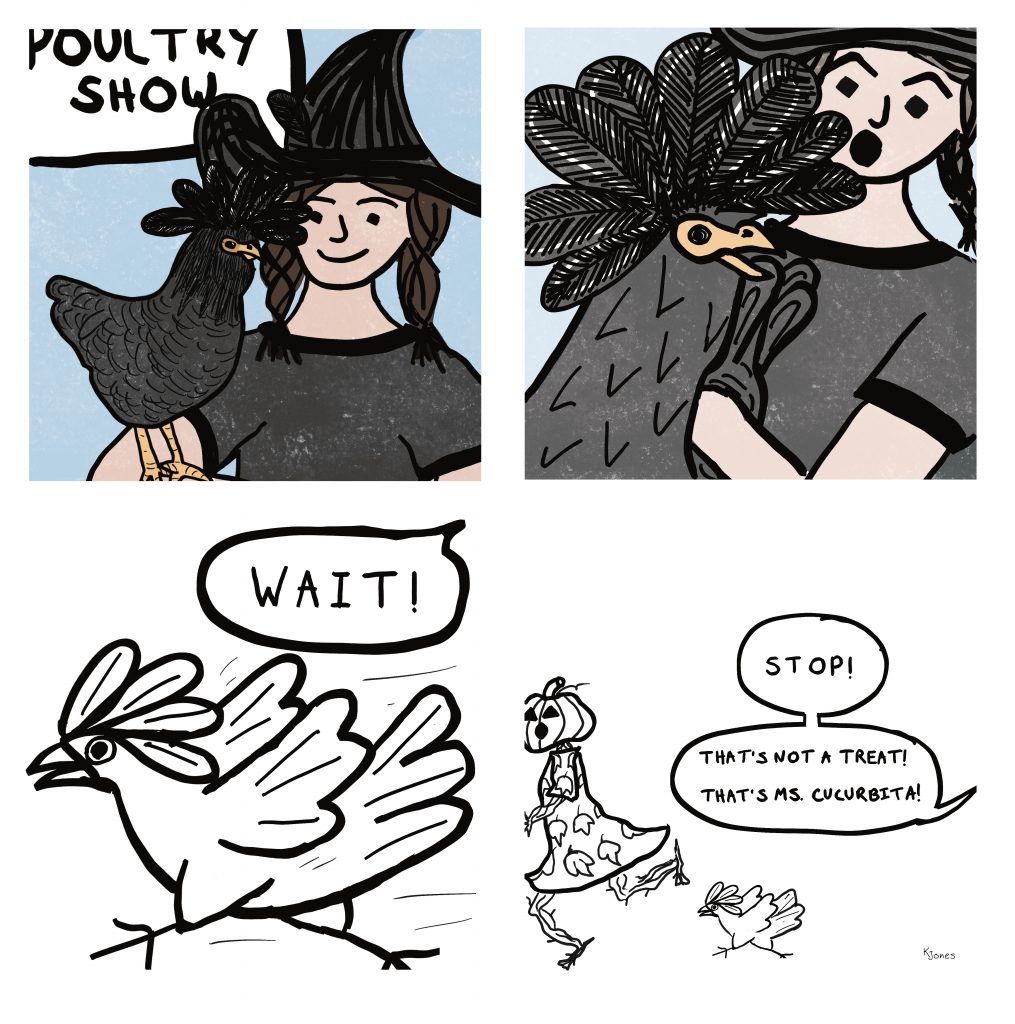 A four-panel comic by Kelly Jones. Panel 1: A girl with light brown skin and medium brown hair in two braids, wearing a witch hat and black t-shirt, holds a stylized black Polish chicken on her arm in front of a sign that reads: Poultry Show. Panel 2: The chicken lunges for the viewer, looking interested. The girl tries to hold it, looking surprised. Panel 3. Line drawing only. A simpler drawing of the chicken running away. Speech bubble from off-panel reads: Wait! Panel 4. A black and white line drawing shows the chicken chasing a woman with a pumpkin head, vining arms and legs, wearing a leaf-pattern dress. Her face is carved, with triangle eyes and a horrified oval mouth. Speech bubbles from off-panel, behind the chicken: Stop! That's not a treat! That's Ms. Cucurbita! From the Drawtober 2022 prompt Fiendish Familiar.