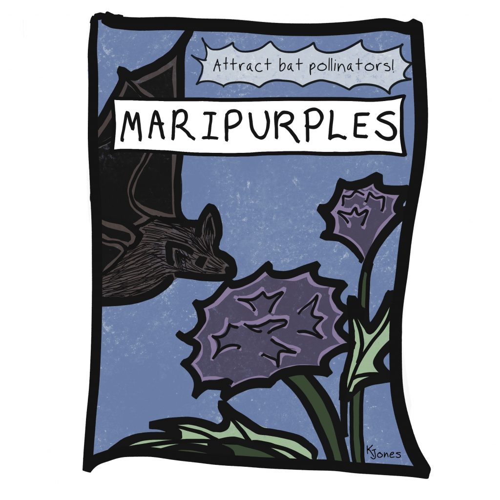 Illustration of a vintage-style seed packet for dark purple flowers with a bat swooping down. Text on image reads: Maripurples Attract bat pollinators! Style has bold black lines and textured colors in purples, greens, brown, and blue. (Created by Kelly Jones (curiosityjones) for Drawtober 2022, prompt Garden of Magick.)